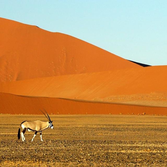 Namibia Road Trip, Namibia