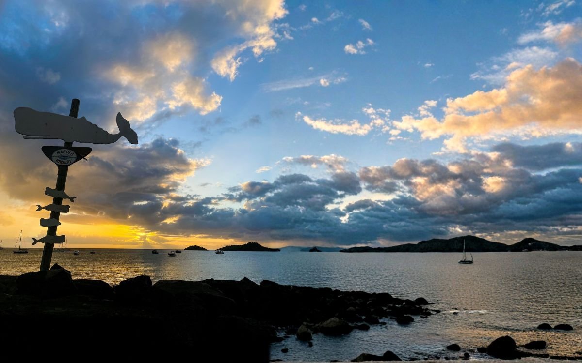 Sunset over a bay with a whale-shaped signpost in silhouette